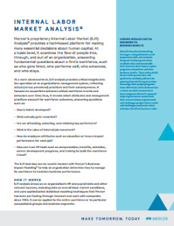 Internal Labor Market Analysis®